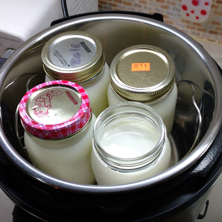 Jar of milk on steaming rack in Instant Pot